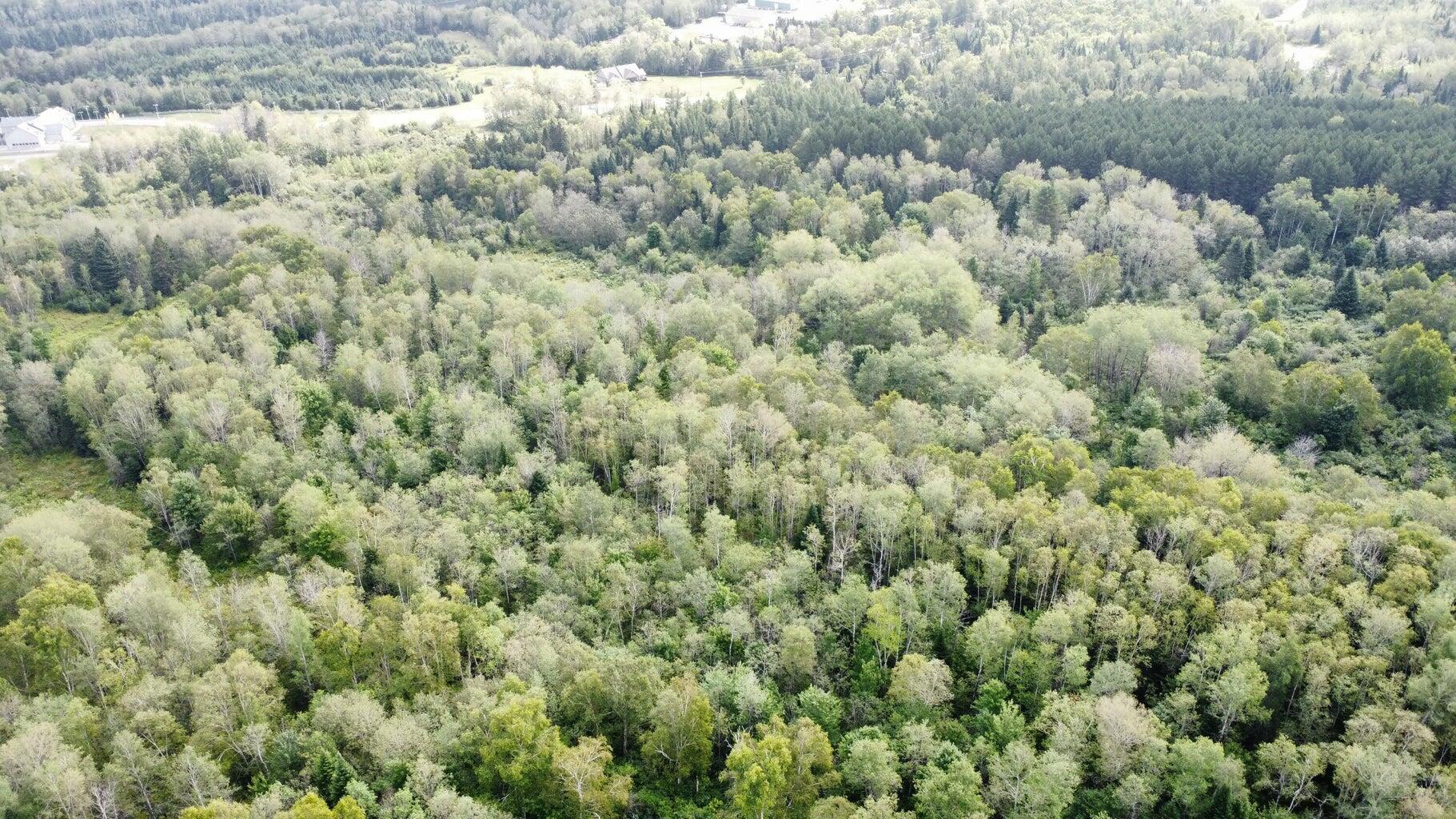 7-l 52 Boundary Line Road Van Buren, ME 04785 - Photo 14 of 23 20250815105224093709000000-o