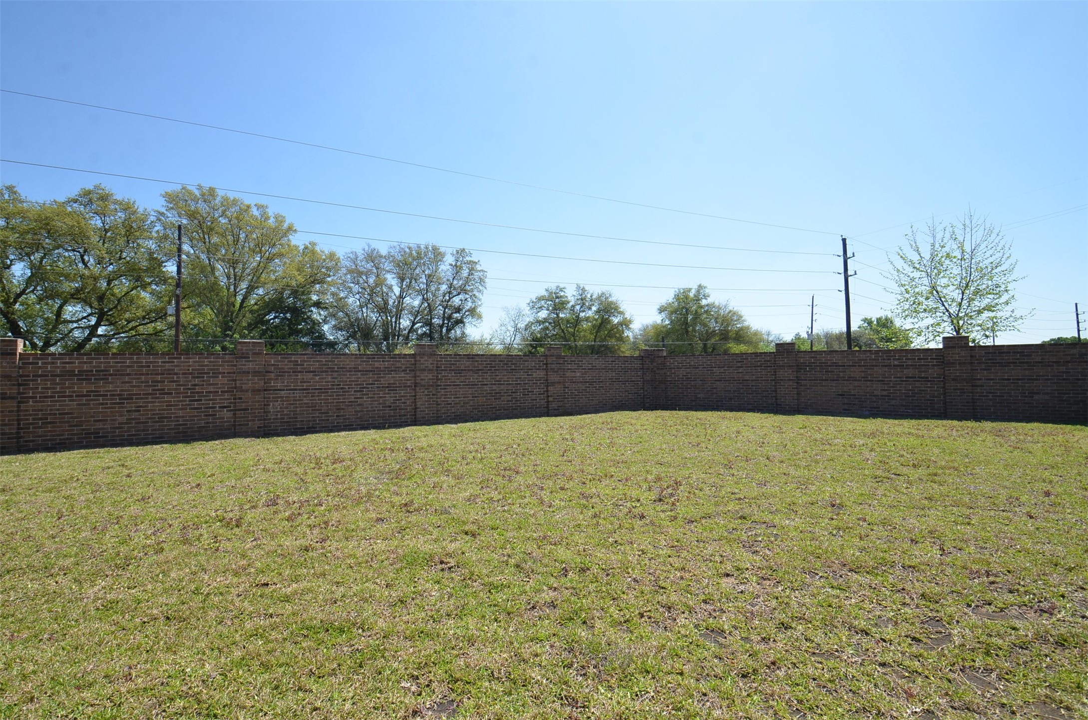 5602 Tabula Rasa Drive Katy, TX 77493 - Photo 38 of 38 a view of patio and yard