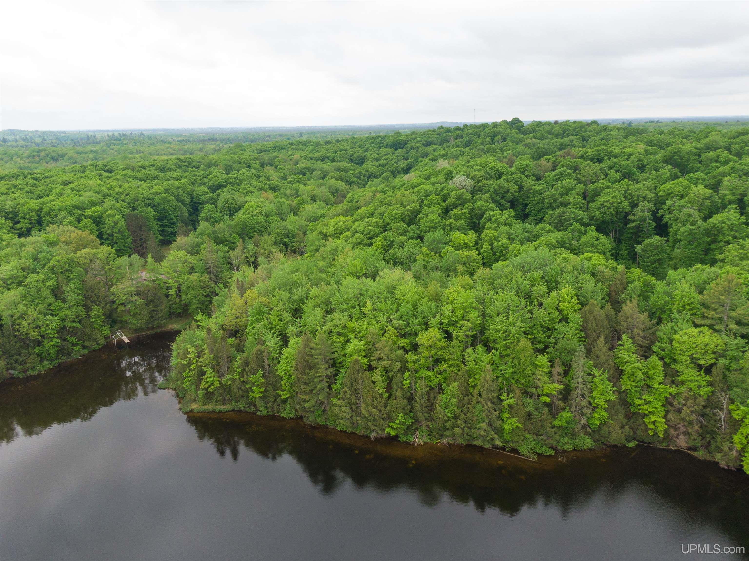 1605 Engman Lake Road Skandia, MI 49885 - Photo 55 of 90