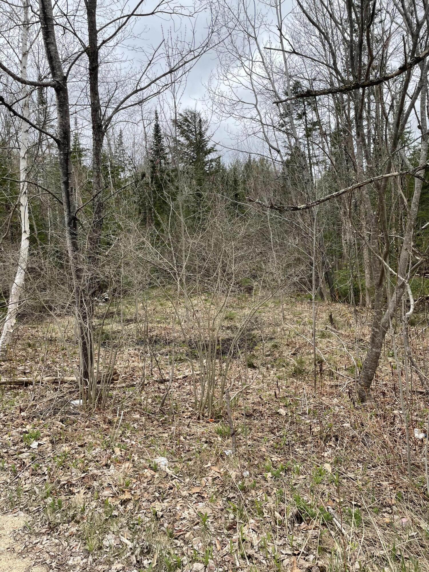 Map9-lot9b1 Hebron Road Oxford, ME 04270 - Photo 4 of 5 IMG_0026