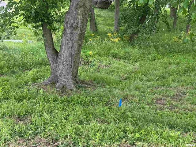 $25,000 | 0 West Douglas Drive, Marion, IL 62959