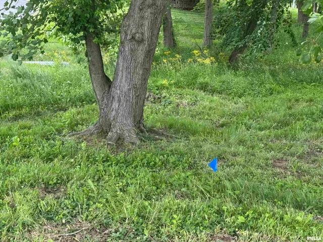 $25,000 | 0 West Douglas Drive, Marion, IL 62959