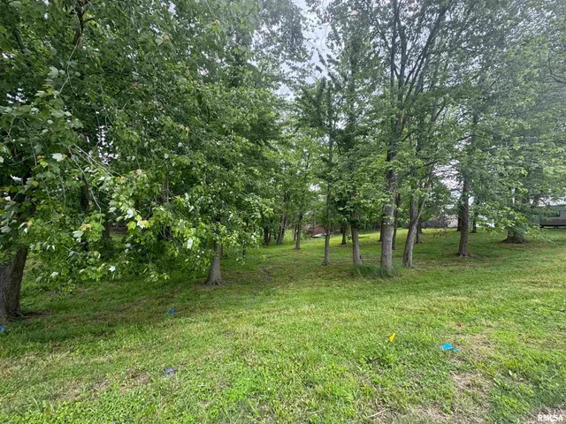 $25,000 | 0 West Douglas Drive, Marion, IL 62959