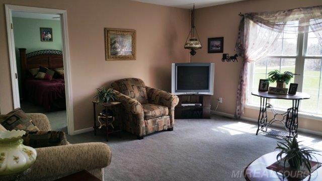 8101 Petz Road Imlay City, MI 48444 - Photo 18 of 23 Gallery Image 18