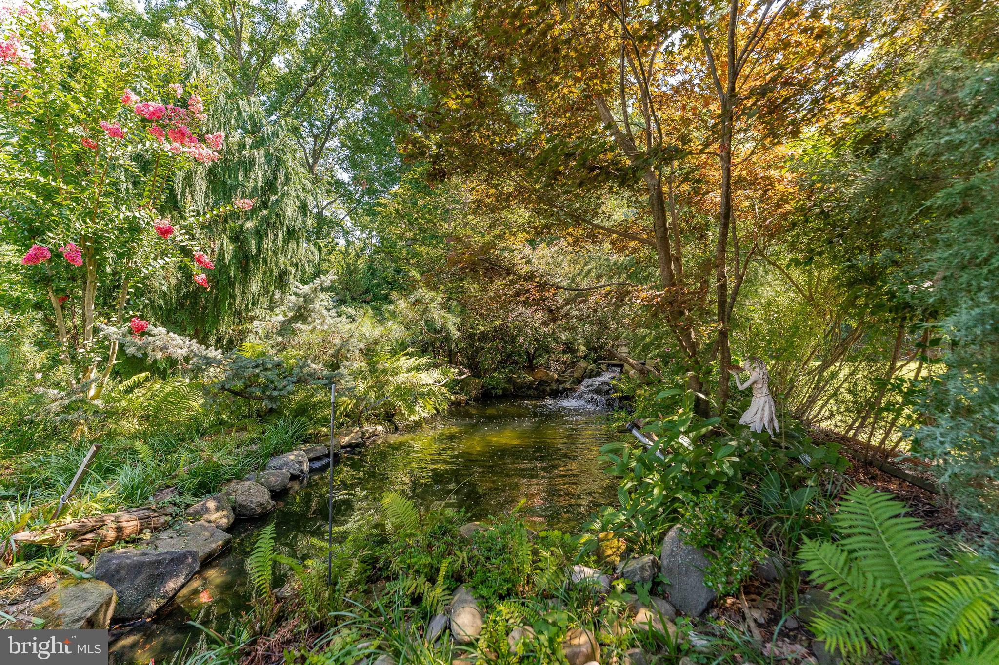 281 West Avenue Springfield, PA 19064 - Photo 4 of 51 a view of a flower in a garden