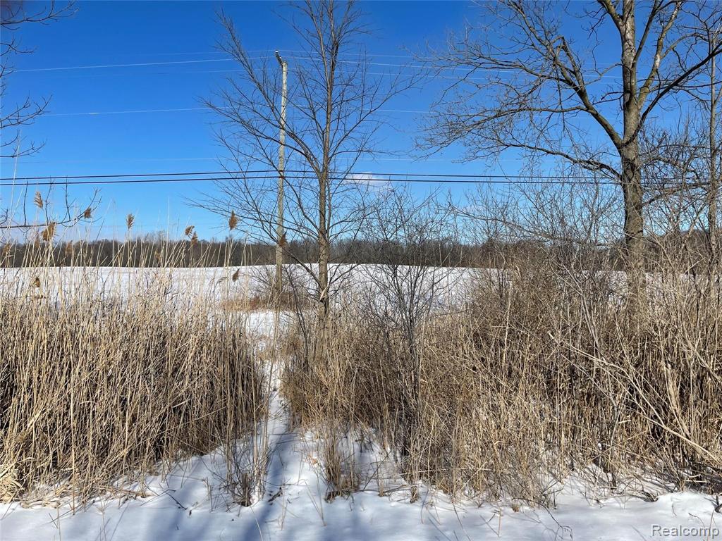 Parcel B East Leonard Road Leonard, MI 48367 - Photo 1 of 2