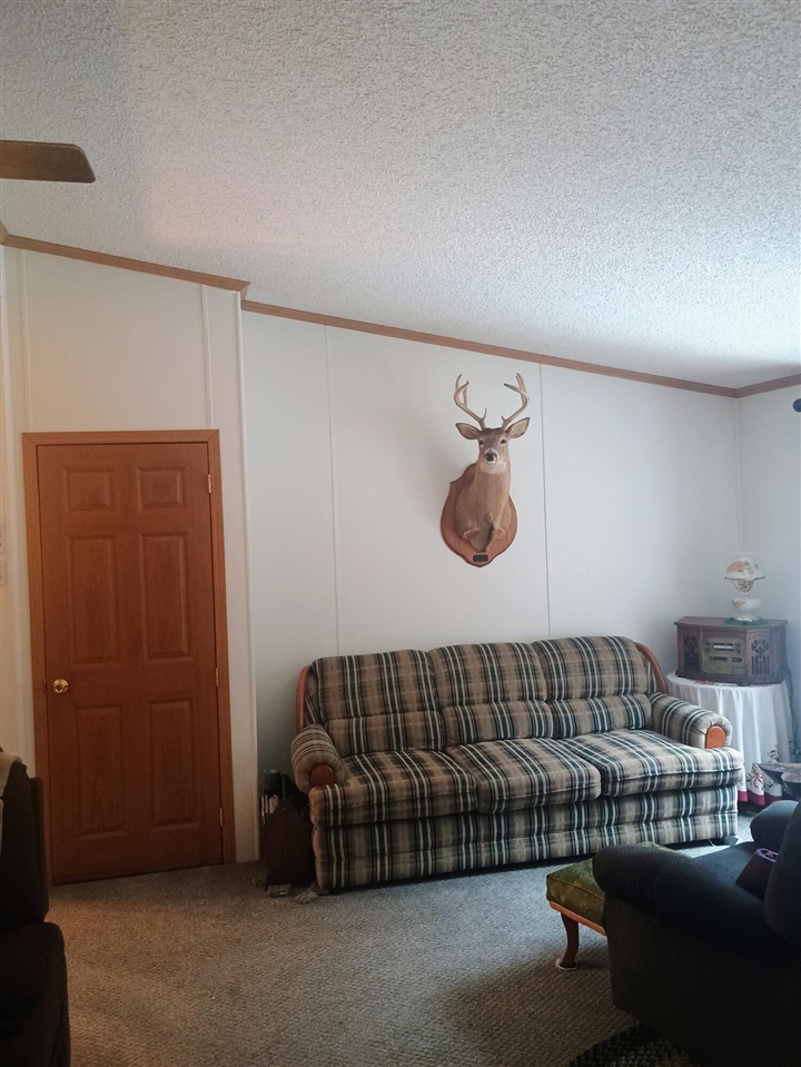 167 Mill Street Blanchard, MI 49310 - Photo 6 of 24