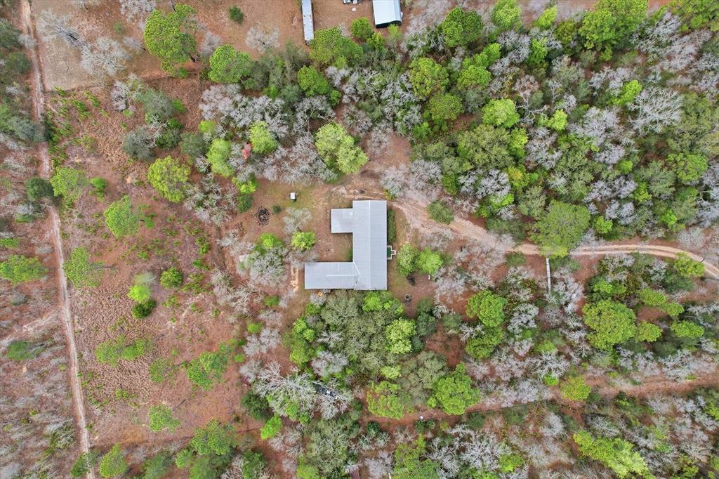4950 West Mockingbird Street Homosassa, FL 34446 - Photo 41 of 47 view of a garden with plants and large trees
