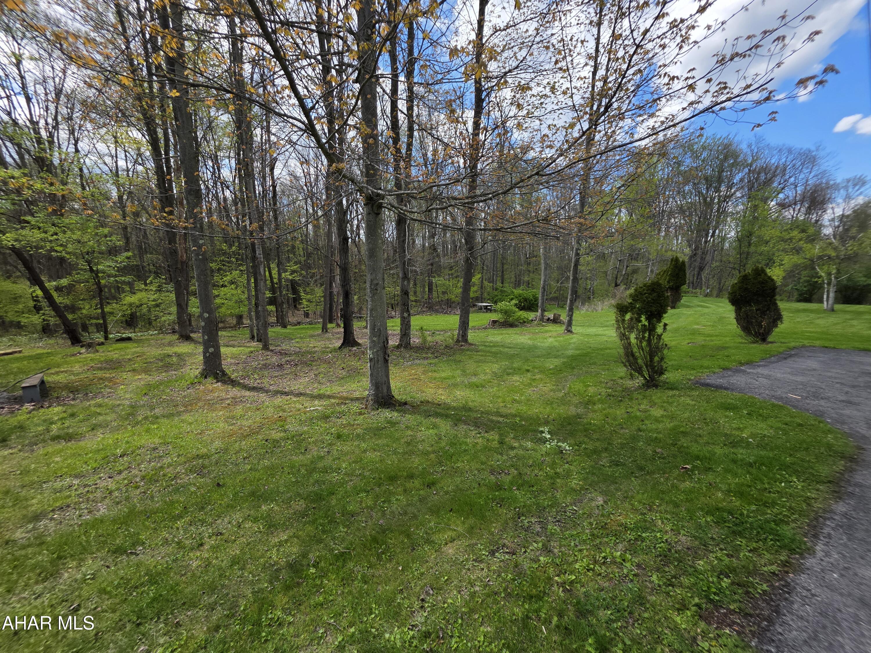 432 Black Snake Road Dysart, PA 16636 - Photo 15 of 46