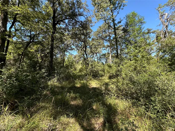 a view of outdoor space and covered with green space