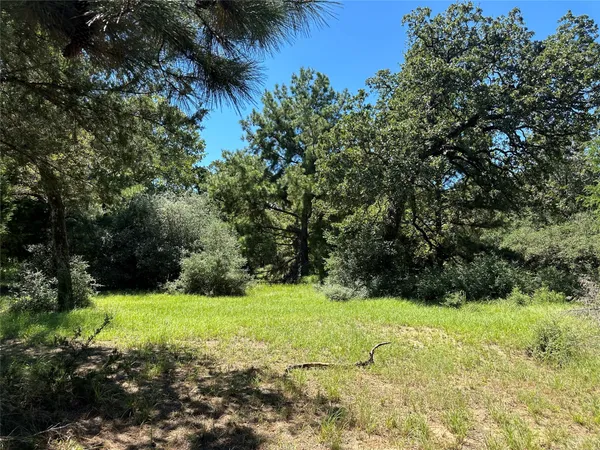 a black and white photo of a garden