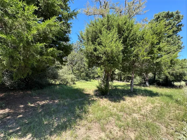 a view of yard with green space