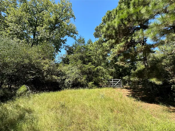 a view of outdoor space and trees all around