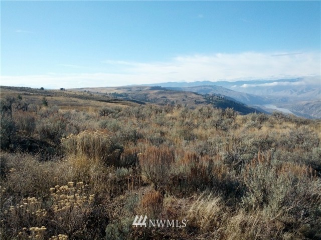 55 Northeast High Corner Road Orondo, WA 98843 - Photo 3 of 4 Gallery Image 3