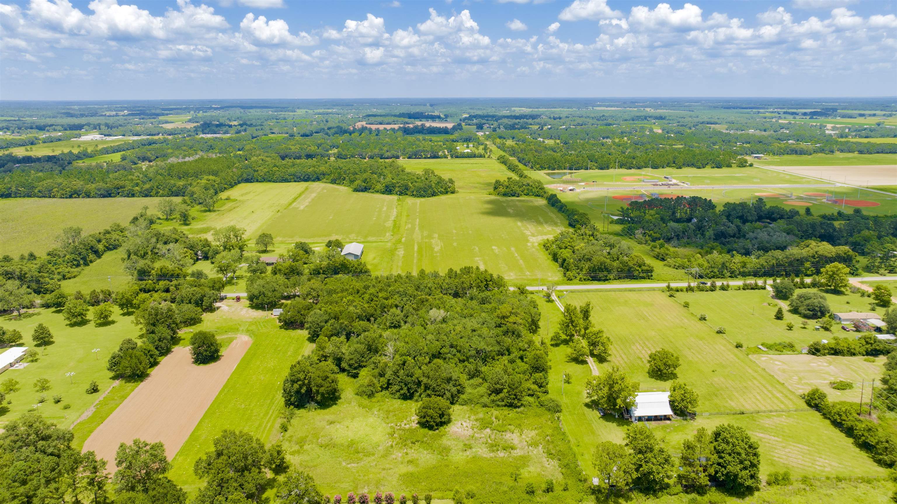 26664 Feely Road Elberta, AL 36530 - Photo 10 of 14 Aerial View