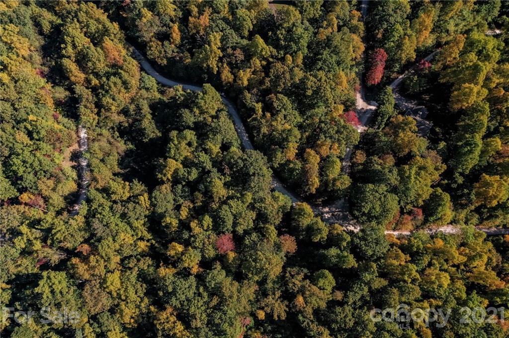 0 Wolf Pen Road Old Fort, NC 28762 - Photo 11 of 16 Gallery Image 11