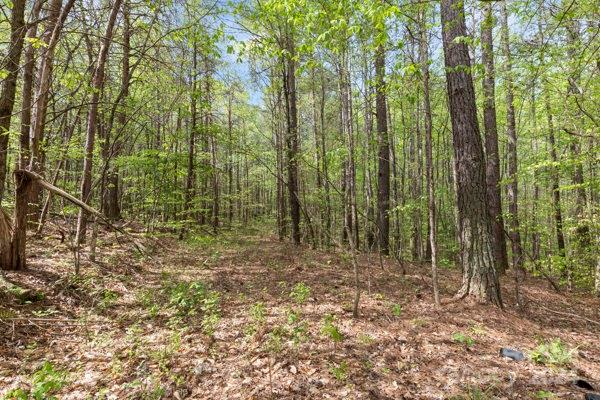 0 Village Road Mocksville, NC 27028 - Photo 4 of 7 Gallery Image 4