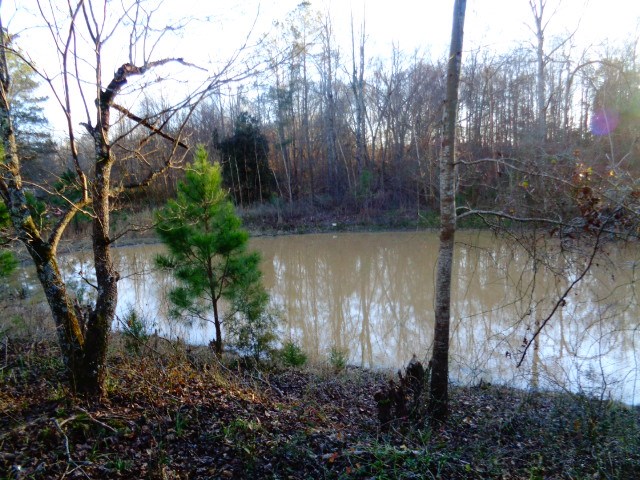 508 Howard McGee Road Anderson, SC 29621 - Photo 11 of 32 Gallery Image 11