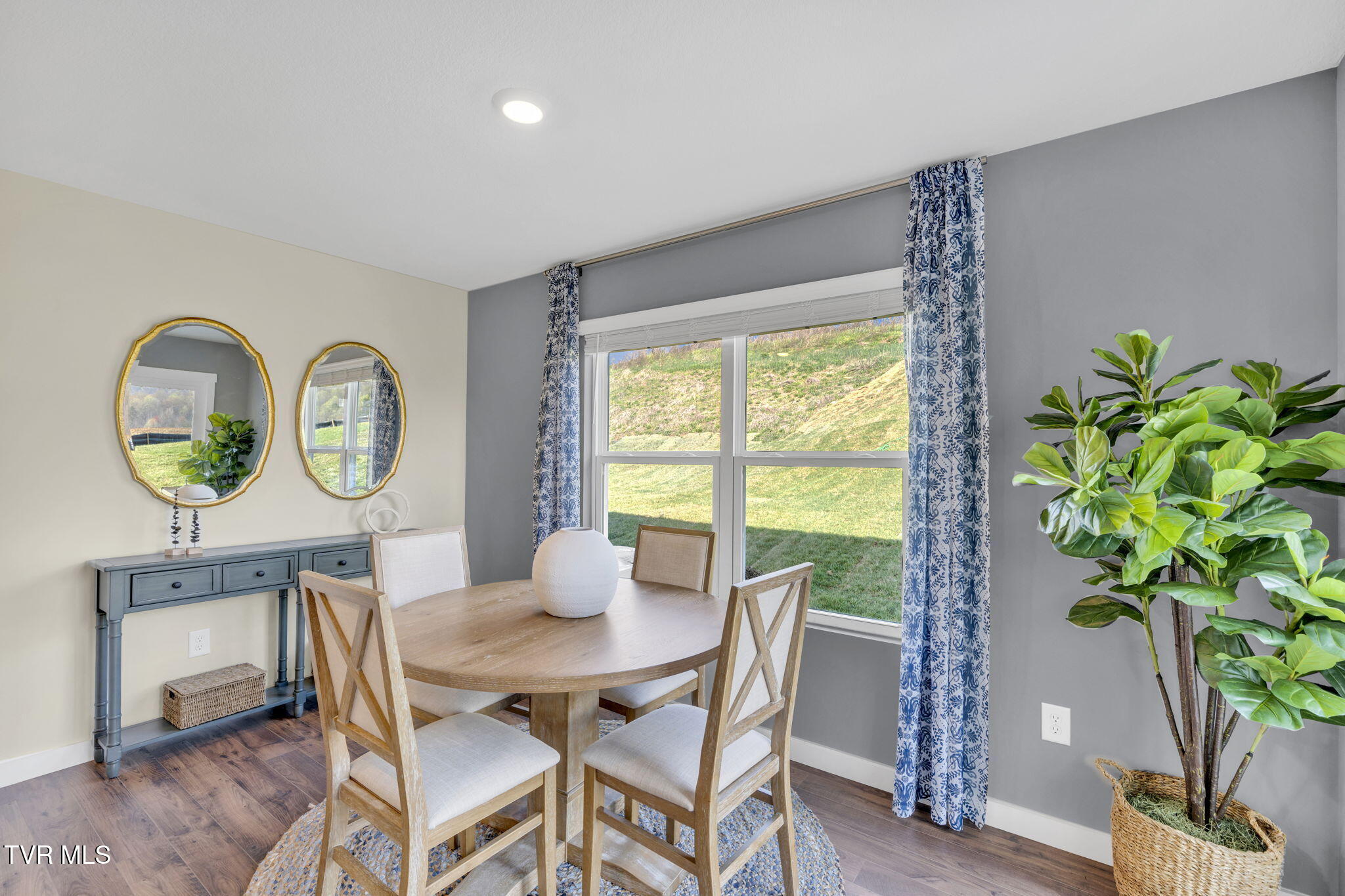 1175 Aspen Terrace Greeneville, TN 37745 - Photo 9 of 28 10-web-or-mls-DSC06474