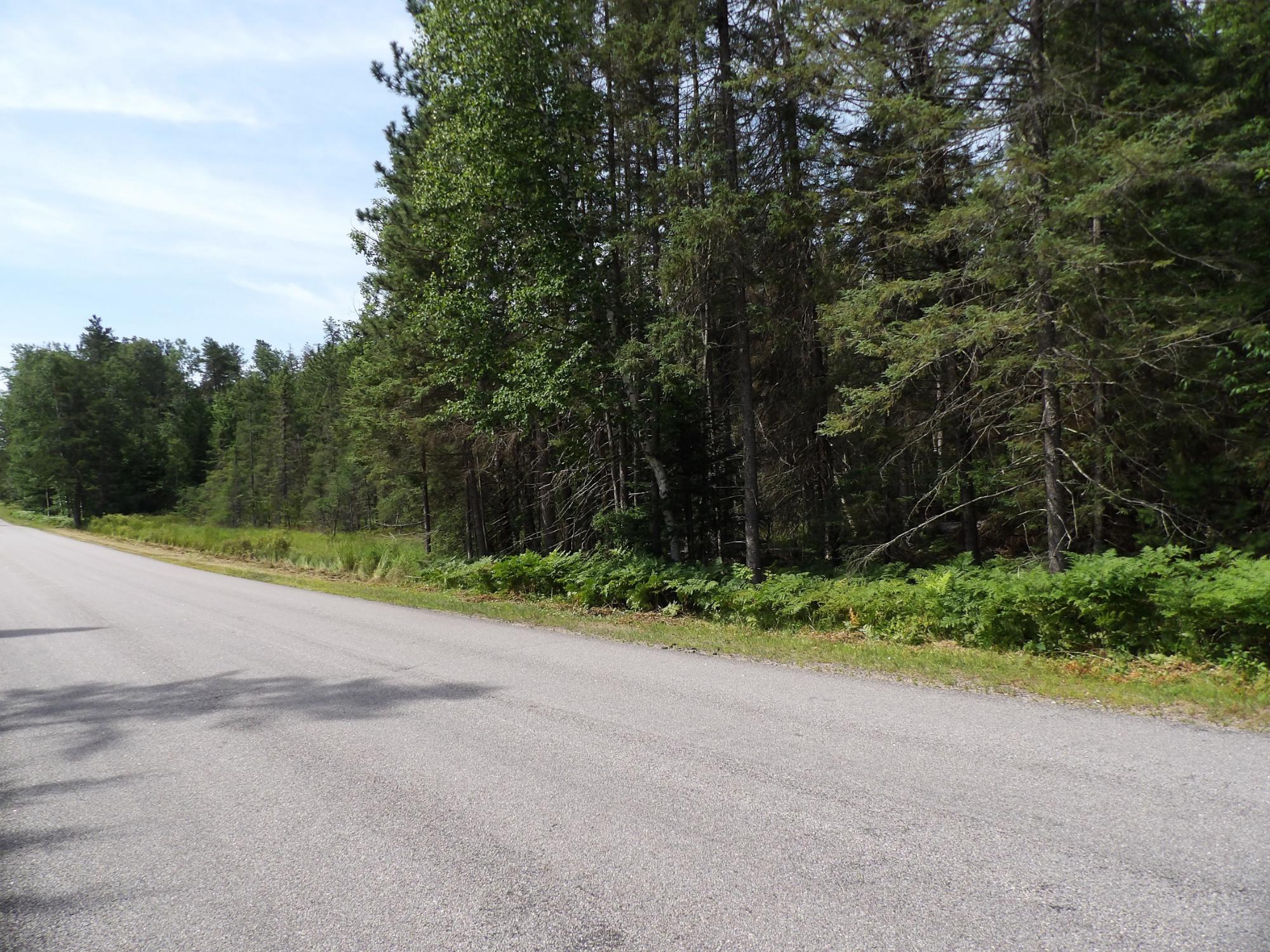 32-ac On Pine Lake Road Rhinelander, WI 54501 - Photo 3 of 27 Gallery Image 3