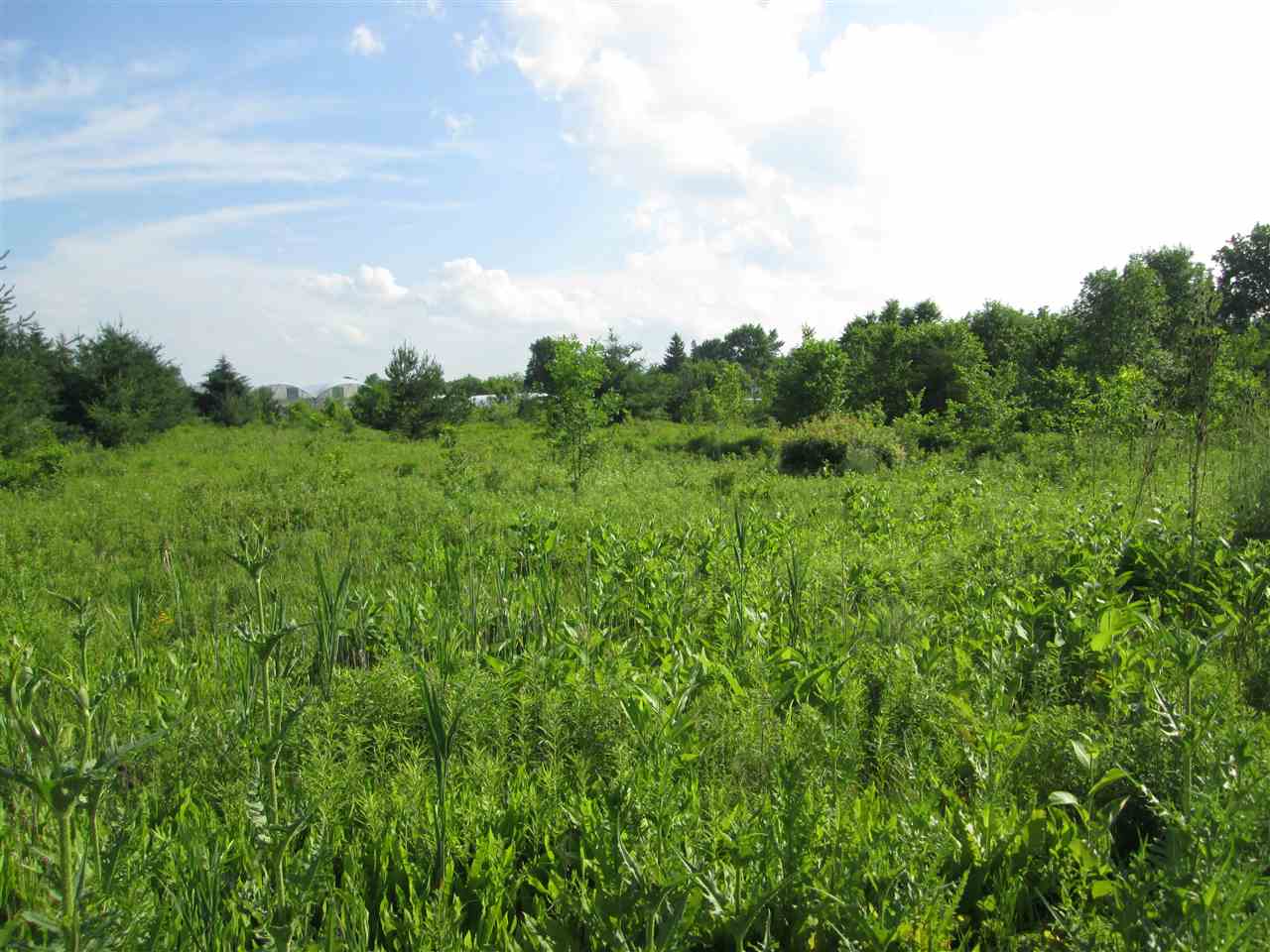 0 Wadhams Road Smiths Creek, MI 48074 - Photo 6 of 7