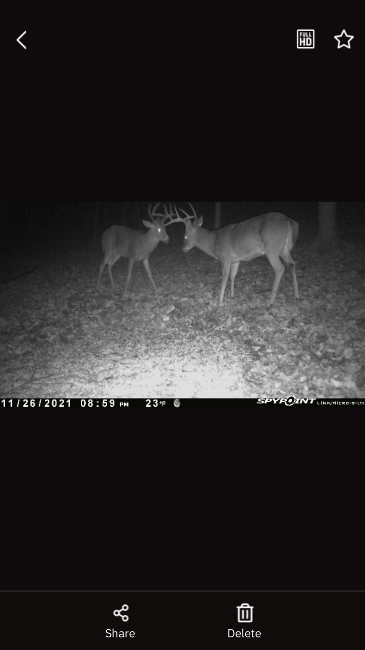 156 Mohawk Road Mount Vernon, KY 40456 - Photo 12 of 34 C4573592-AAC2-4A98-A0E8-9F8391BEED9E