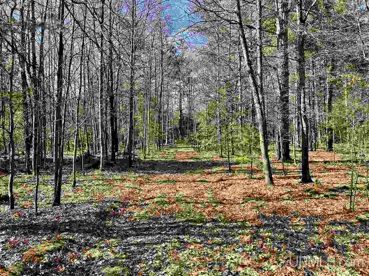 70 Old Highway 70 Road Minocqua, WI 54548 - Photo 1 of 11