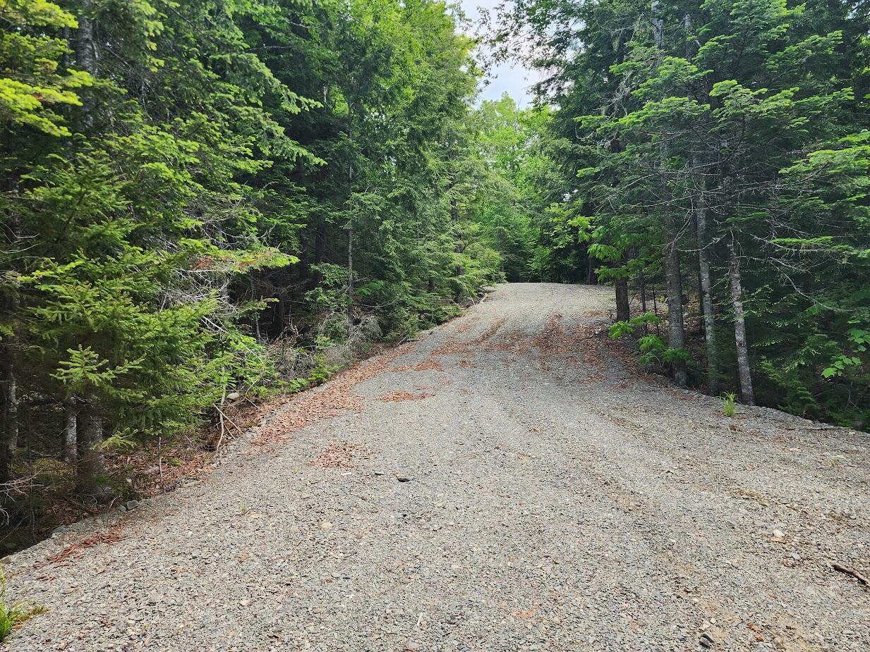 Lot J Lot J Howard Lake Road Robbinston, ME 04671 - Photo 12 of 16 20250611_121219