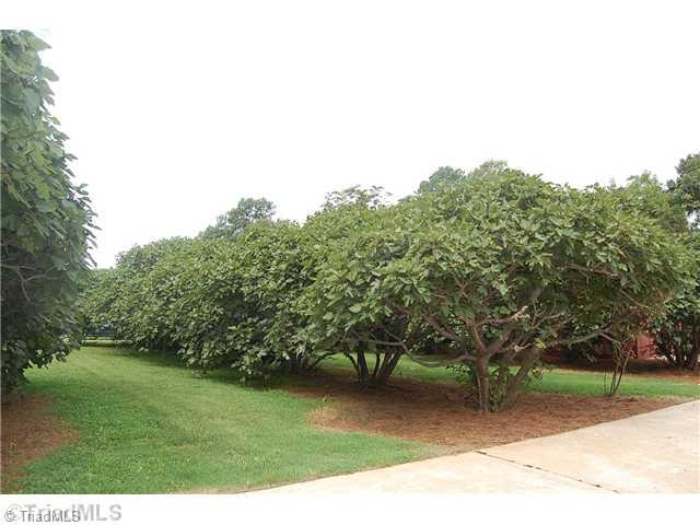 401 Lindley Road Greensboro, NC 27410 - Photo 13 of 16 Other. A fig orchard! Scrumptious, beautiful and a wonderful project for those with the heart of a gardener.