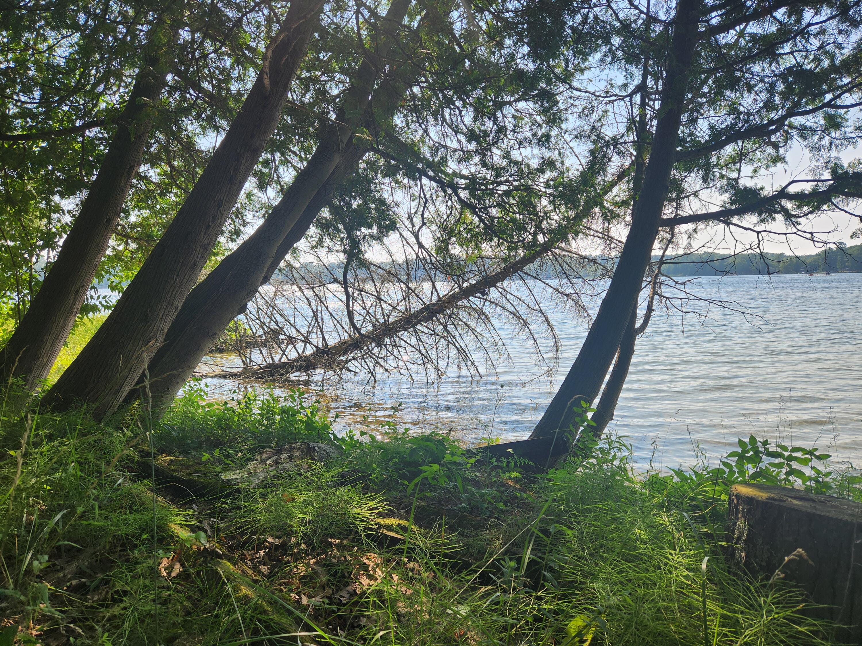 5341 North Benson Road Fountain, MI 49410 - Photo 16 of 24 Lakeside 5