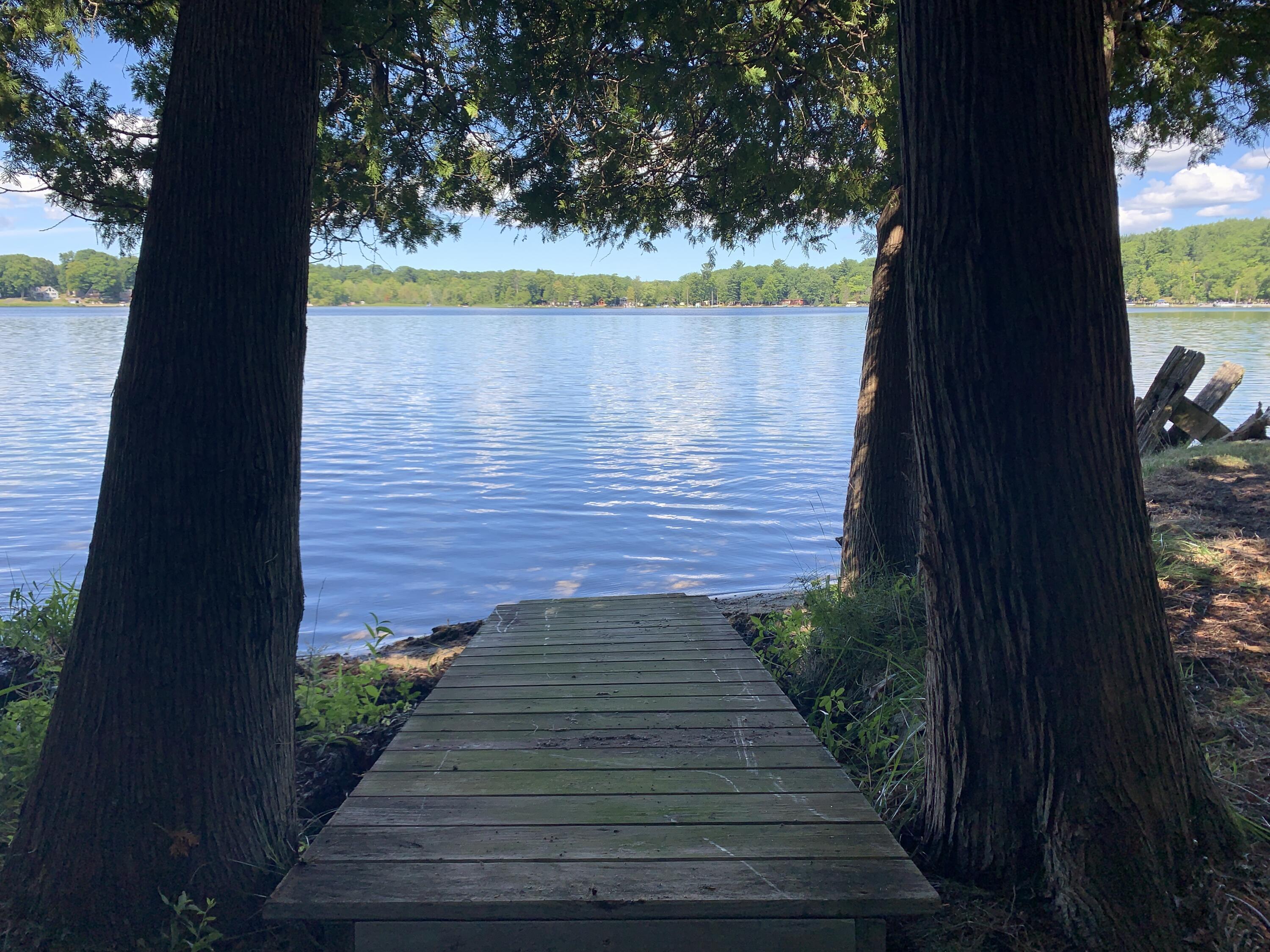 5341 North Benson Road Fountain, MI 49410 - Photo 17 of 24 Lakeside 6