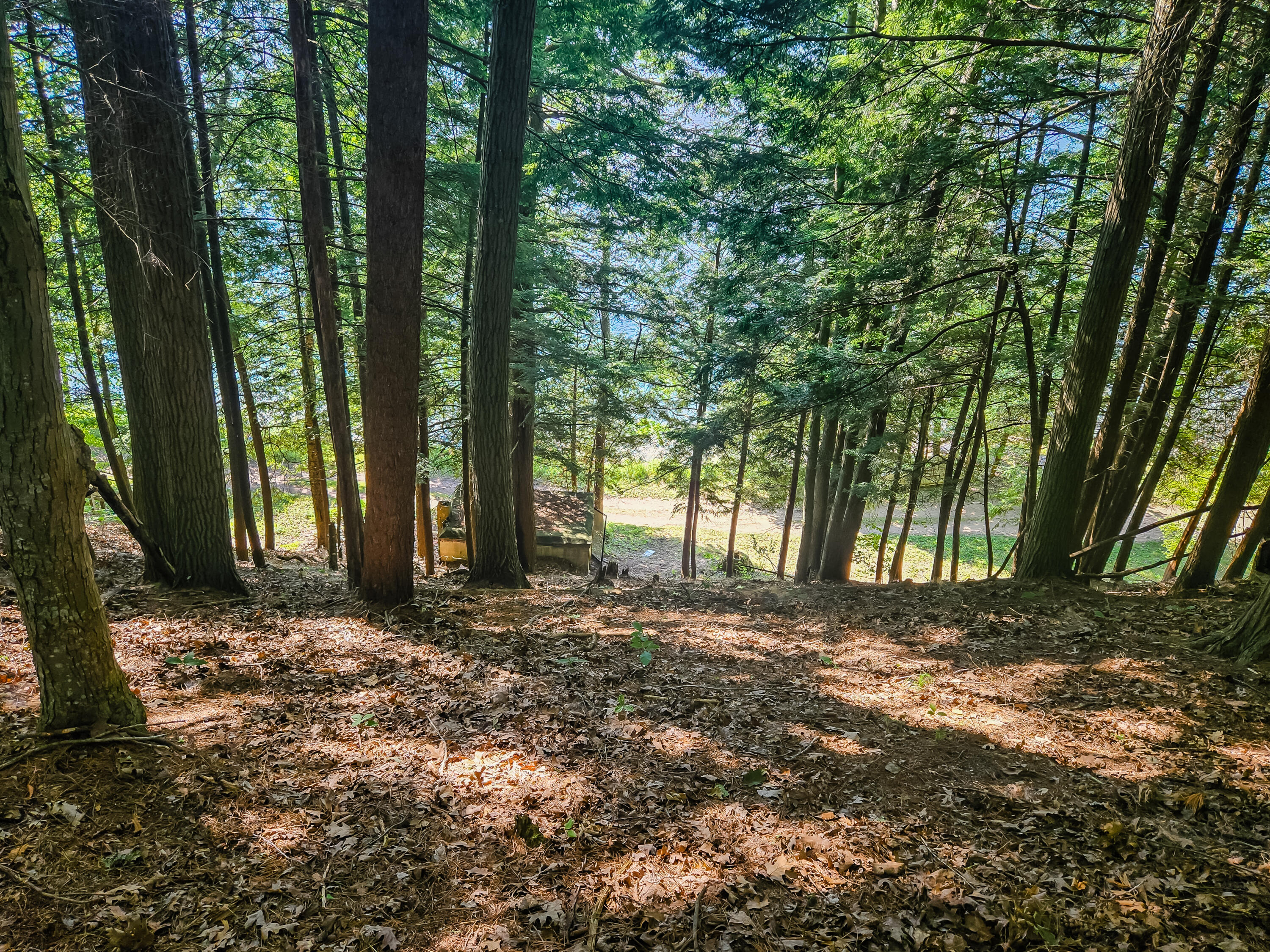 5341 North Benson Road Fountain, MI 49410 - Photo 3 of 24 From cabin to lake