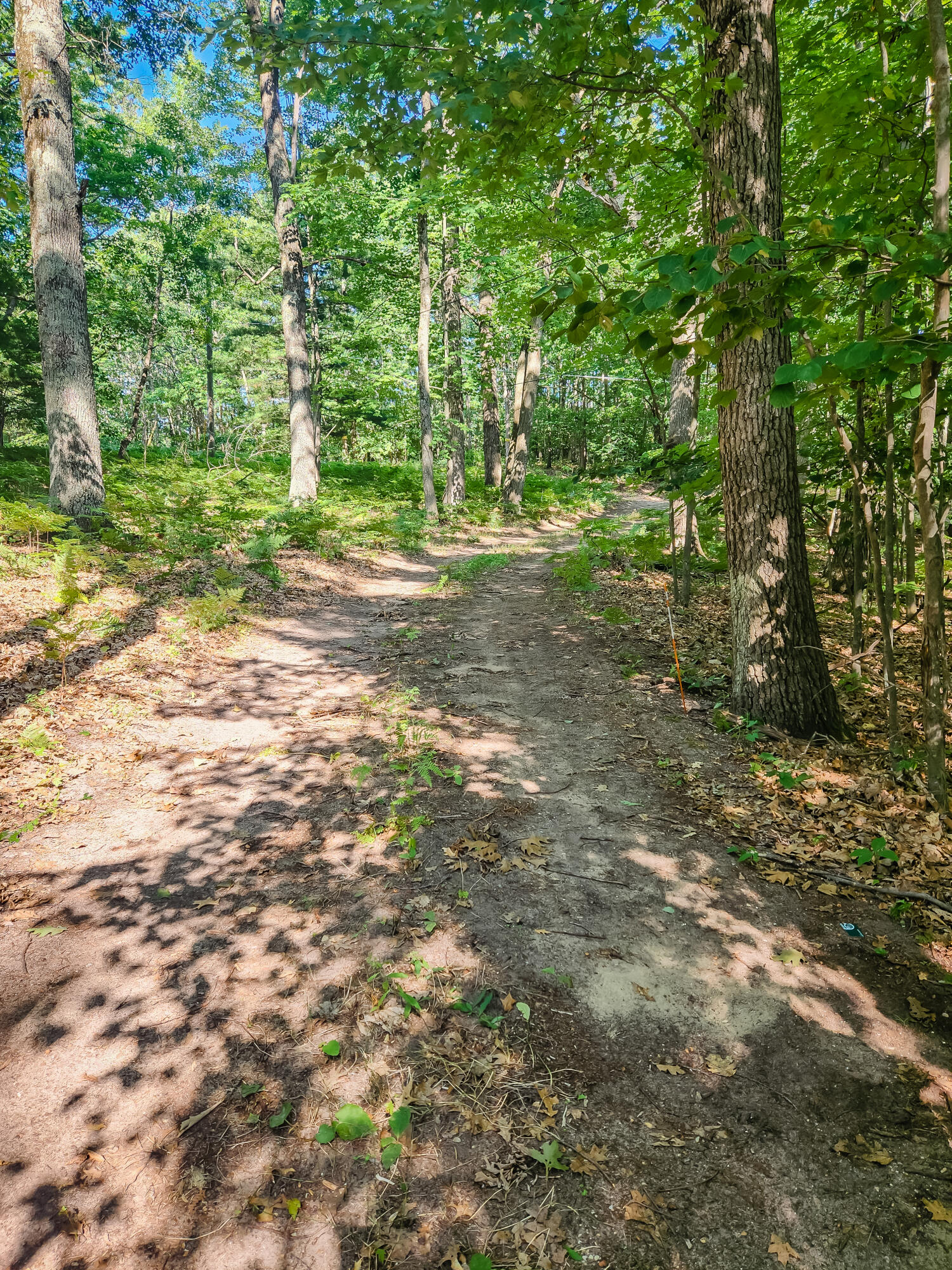 5341 North Benson Road Fountain, MI 49410 - Photo 6 of 24 Driveway access