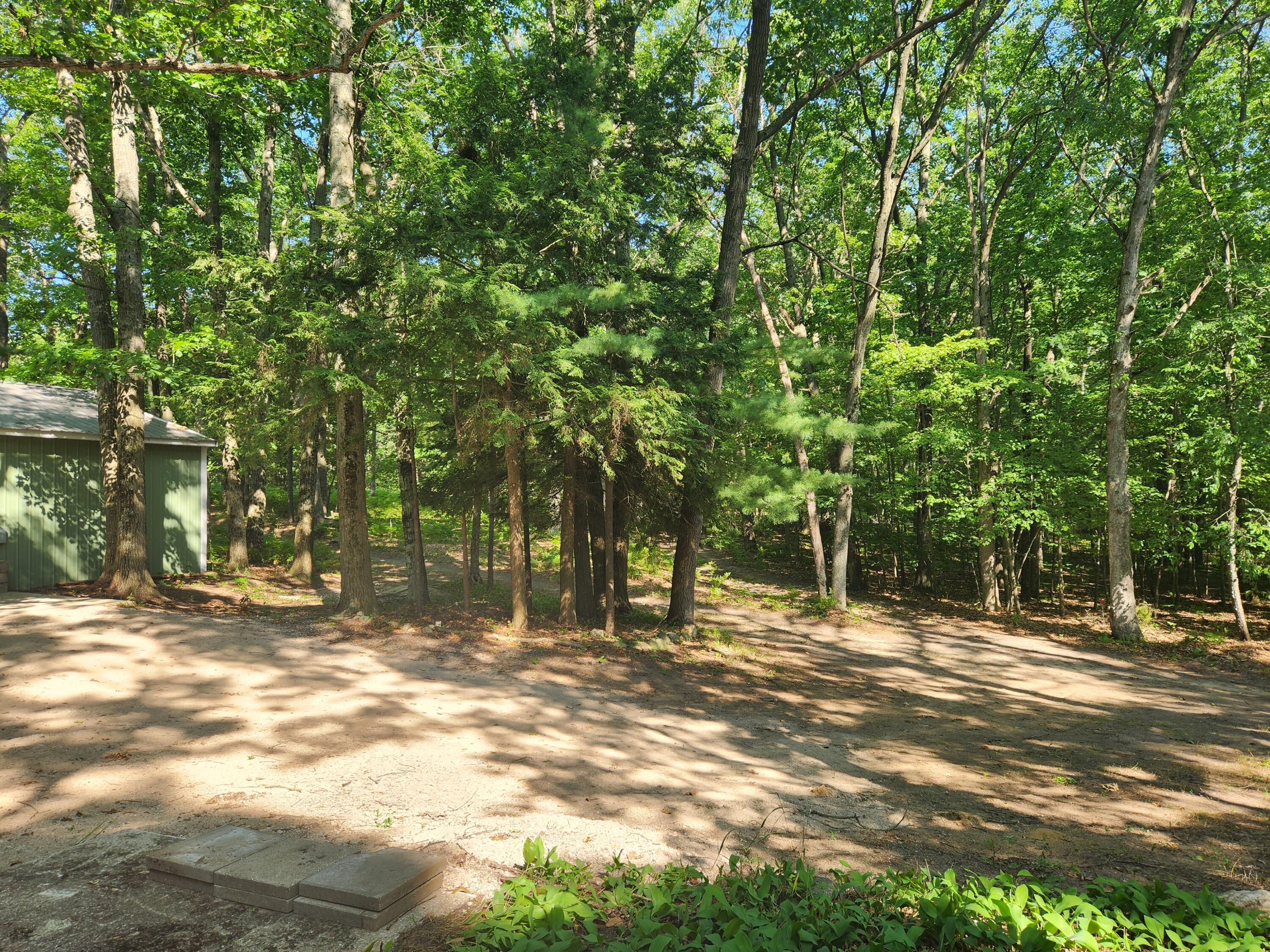 5341 North Benson Road Fountain, MI 49410 - Photo 9 of 24 From cabin entrance towards drive