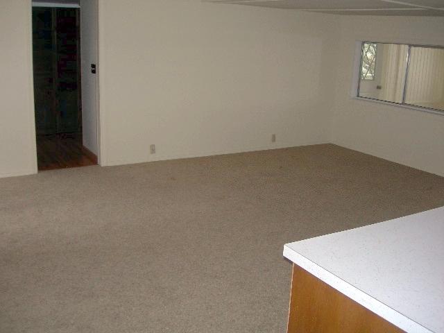 251 Davis Lake Road Usk, WA 99180 - Photo 6 of 9 Gallery Image 6