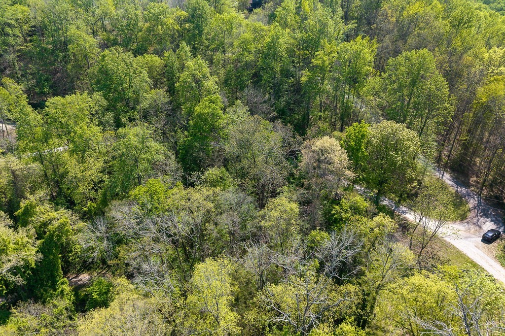 588 Austin Bottom Road Baxter, TN 38544 - Photo 6 of 15 an aerial view of residential house with outdoor space and trees all around