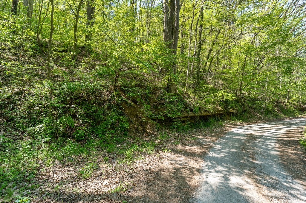 588 Austin Bottom Road Baxter, TN 38544 - Photo 10 of 15 a view of a lush green forest next to a yard