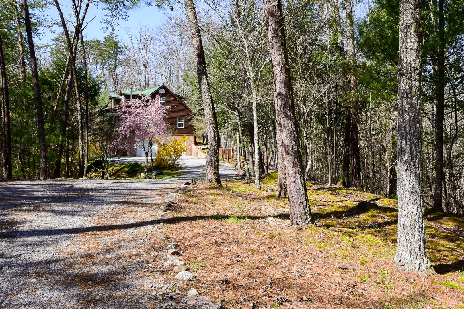 825 Rudd Hollow Road Townsend, TN 37882 - Photo 3 of 26 DSC_5596.jpg
