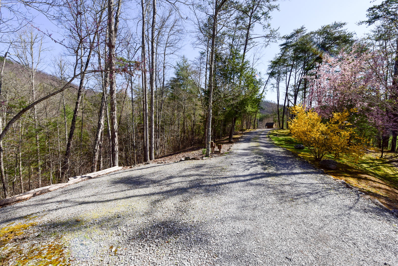 825 Rudd Hollow Road Townsend, TN 37882 - Photo 25 of 26 DSC_5594.jpg
