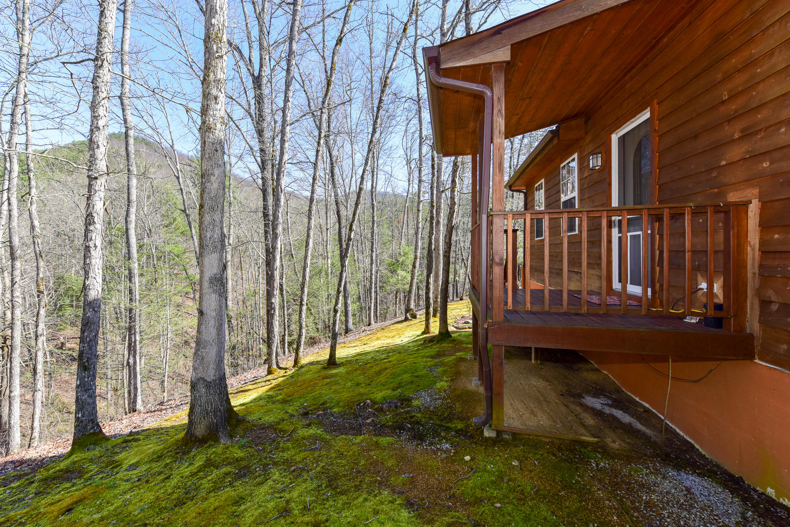 825 Rudd Hollow Road Townsend, TN 37882 - Photo 6 of 26 DSC_5590.jpg