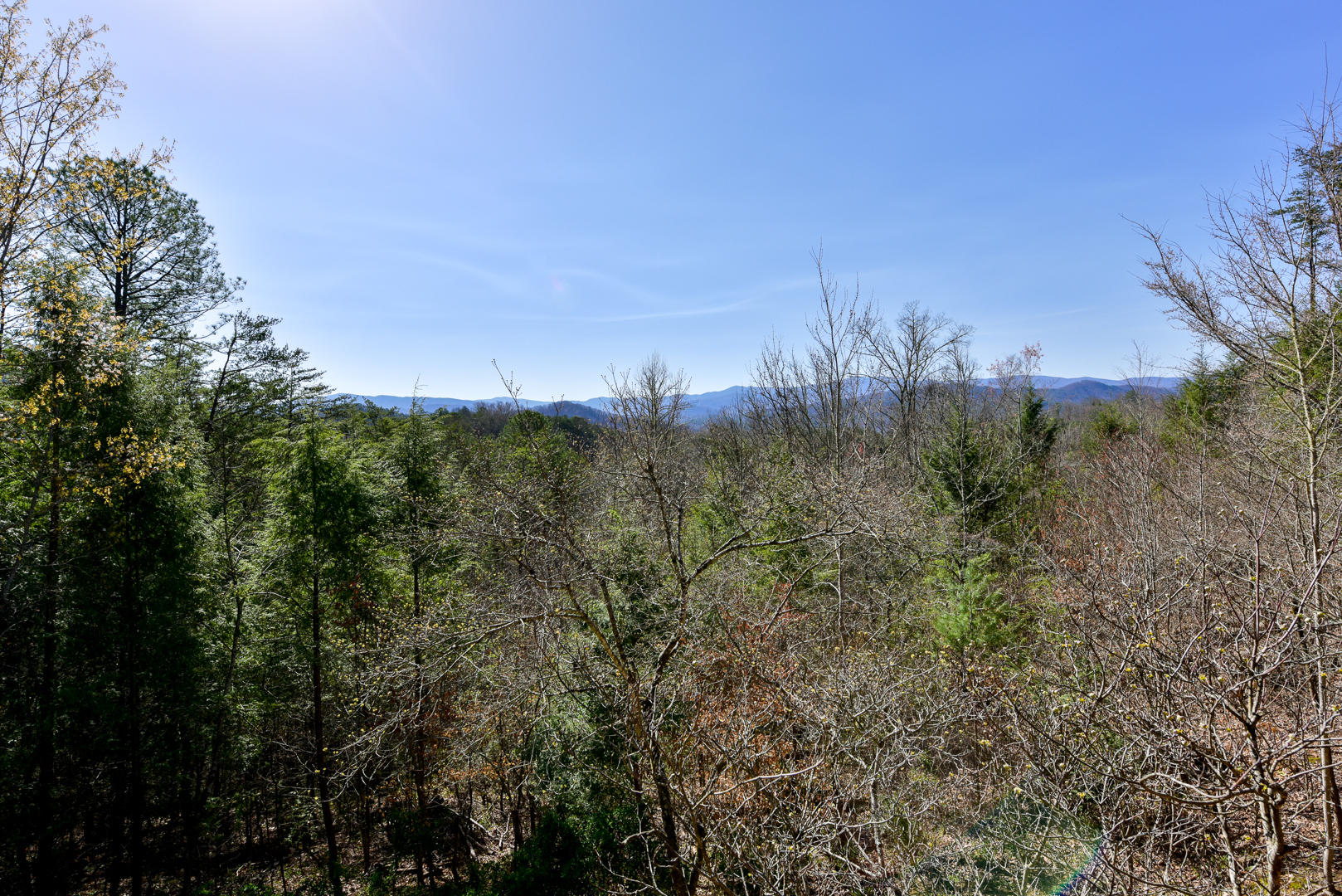 825 Rudd Hollow Road Townsend, TN 37882 - Photo 8 of 26 DSC_5568.jpg