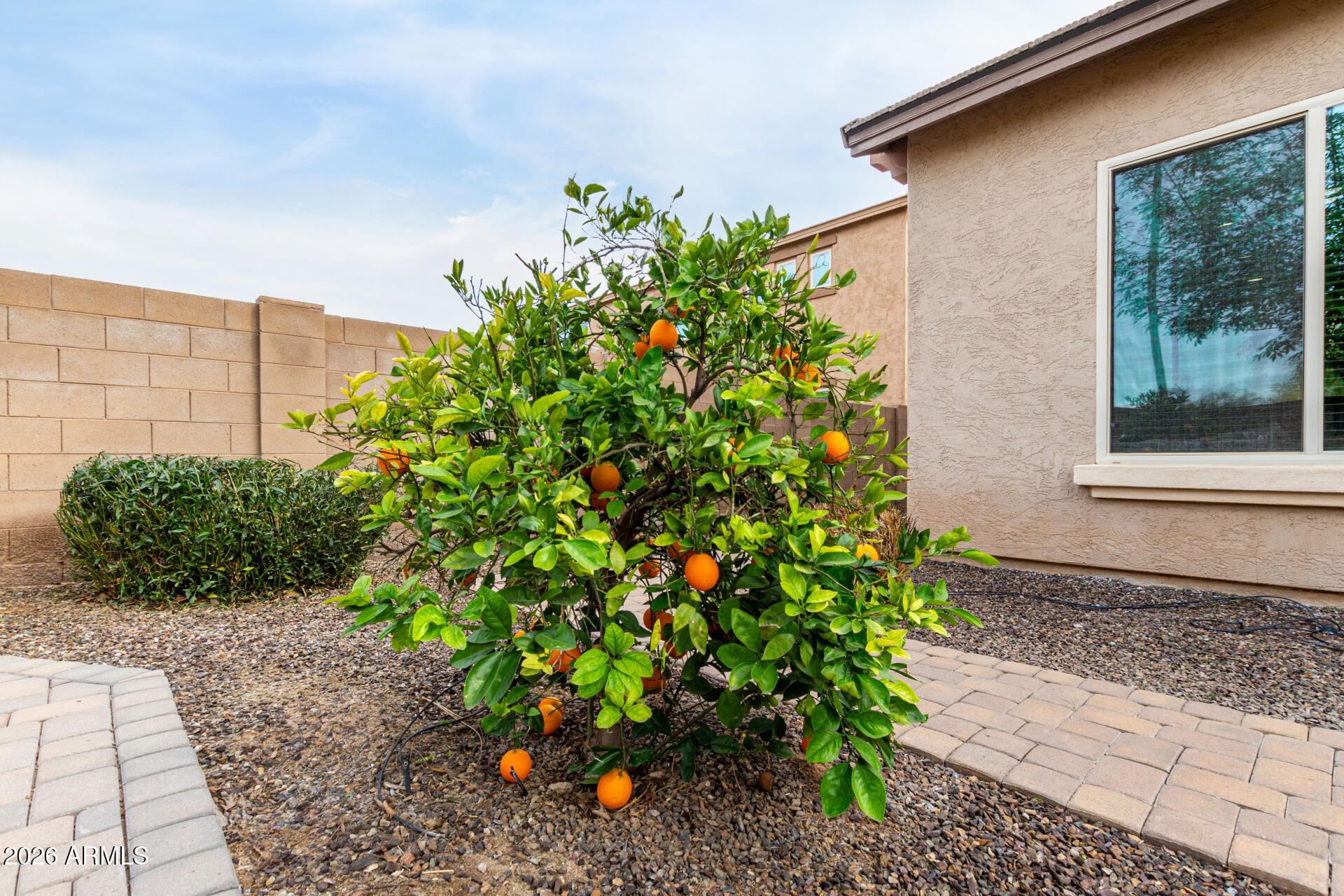 2960 East Derringer Way Gilbert, AZ 85297 - Photo 46 of 73 2960 E DERRINGER WAY, Gilbert, AZ 85297