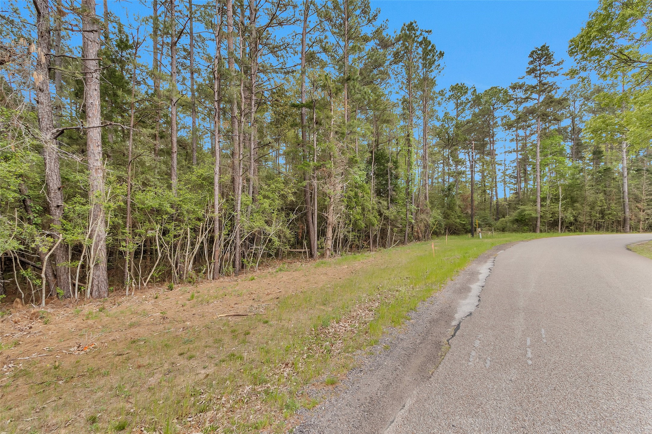 Tbd Tr2 Cedar Ln Loop Willis, TX 77378 - Photo 6 of 8