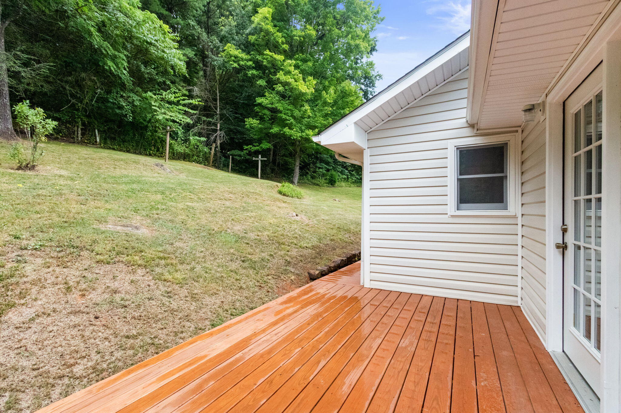 187 Muddy Branch Road Elizabethton, TN 37643 - Photo 16 of 18 14-web-or-mls-IMG_9020