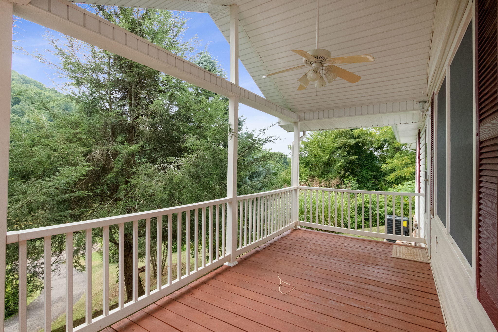 187 Muddy Branch Road Elizabethton, TN 37643 - Photo 3 of 18 17-web-or-mls-IMG_9035v