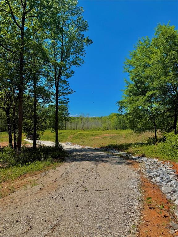 67 Franklin Way Royston, GA 30662 - Photo 11 of 16 a view of a yard with a tree