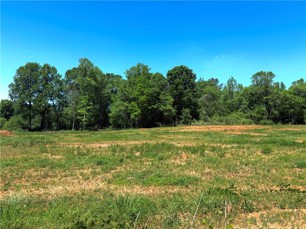 67 Franklin Way Royston, GA 30662 - Photo 13 of 16 a view of a field with trees in the background
