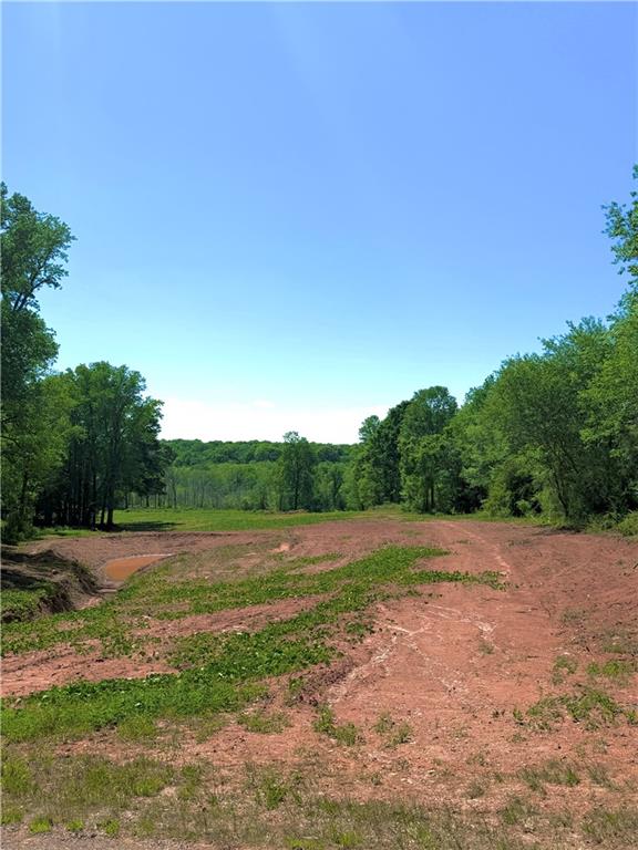 67 Franklin Way Royston, GA 30662 - Photo 15 of 16 a view of dirt field with trees