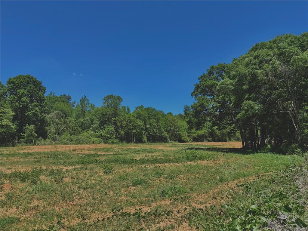 67 Franklin Way Royston, GA 30662 - Photo 2 of 16 a view of a field with trees in background