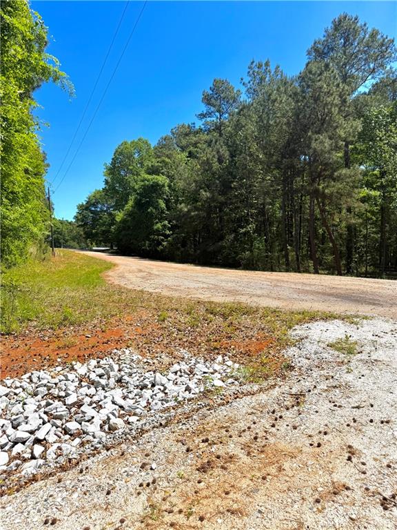 67 Franklin Way Royston, GA 30662 - Photo 4 of 16 a view of yard with swimming pool and trees